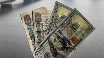 استقرار سعر الدولار في البنوك الحكومية والخاصة بداية الأحد 14 ديسمبر 2025